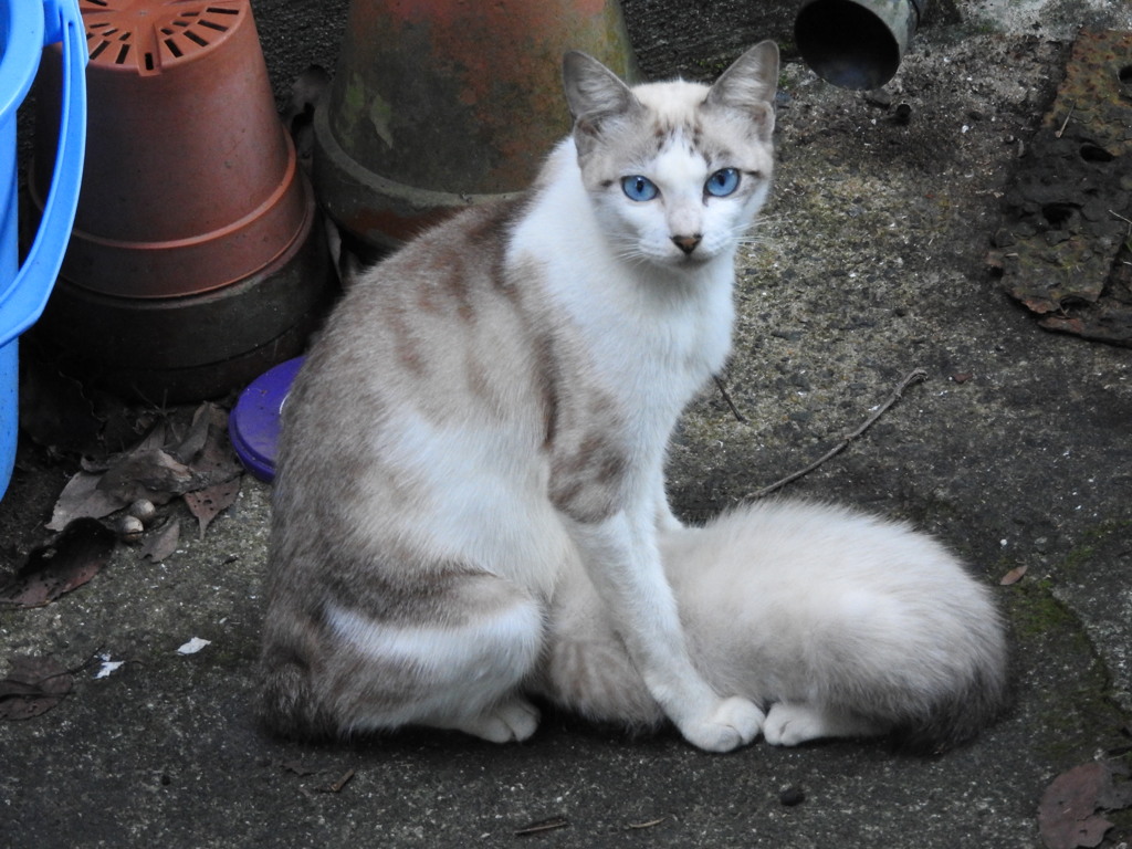 遊んだ後はママに・・・