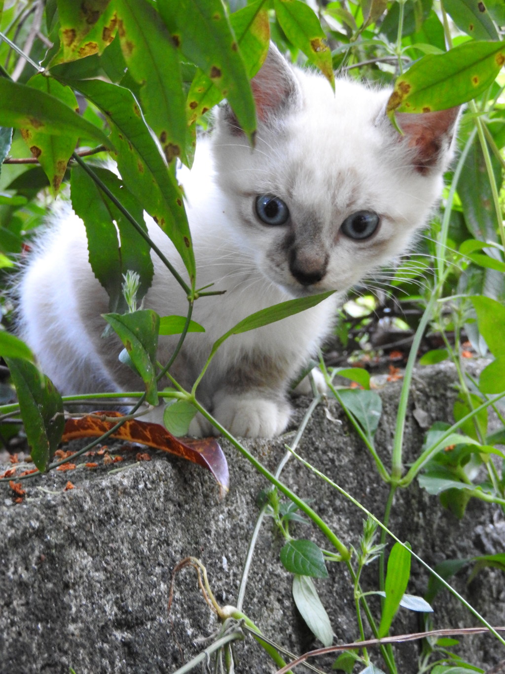 とても活発な子