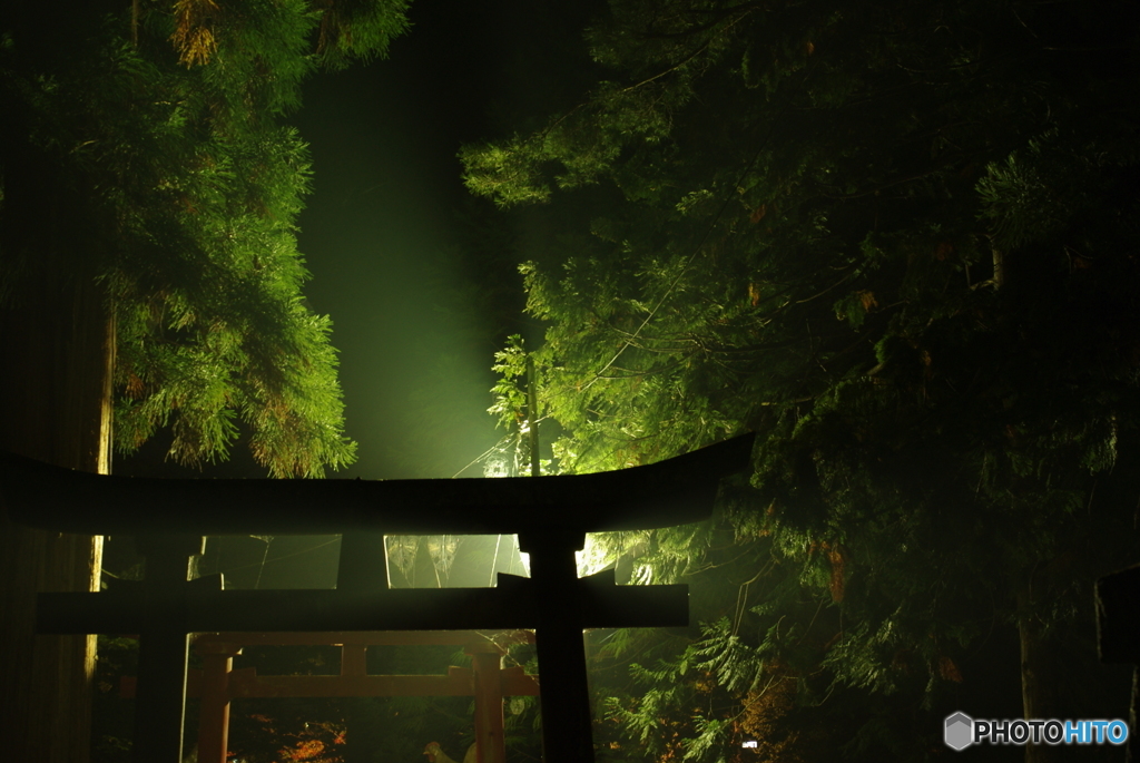 中野もみじ山 番外編