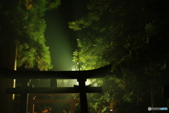中野もみじ山 番外編