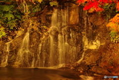 中野もみじ山