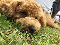 眠いよぉ〜