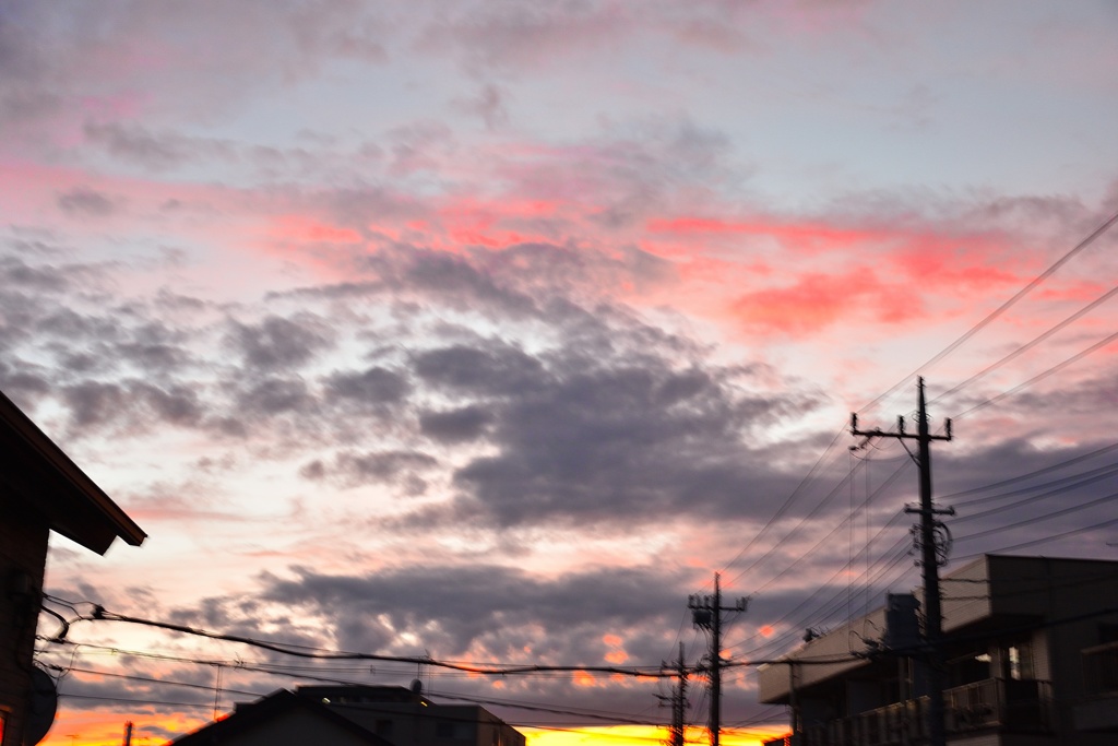 昨日の夕陽の上はピンク色(*^o^*)