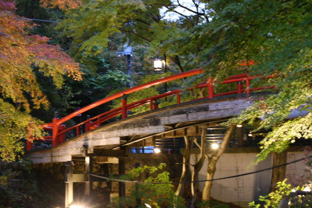 〜河鹿橋〜ライトアップ❣️