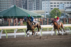 〜大井競馬場〜