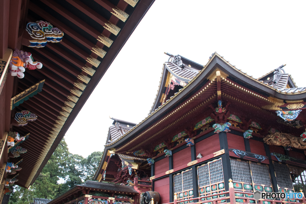 〜大杉神社〜