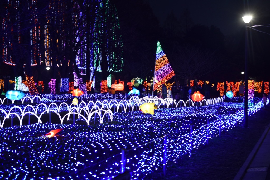 公園イルミネーション②