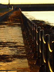 夕暮れの散歩道