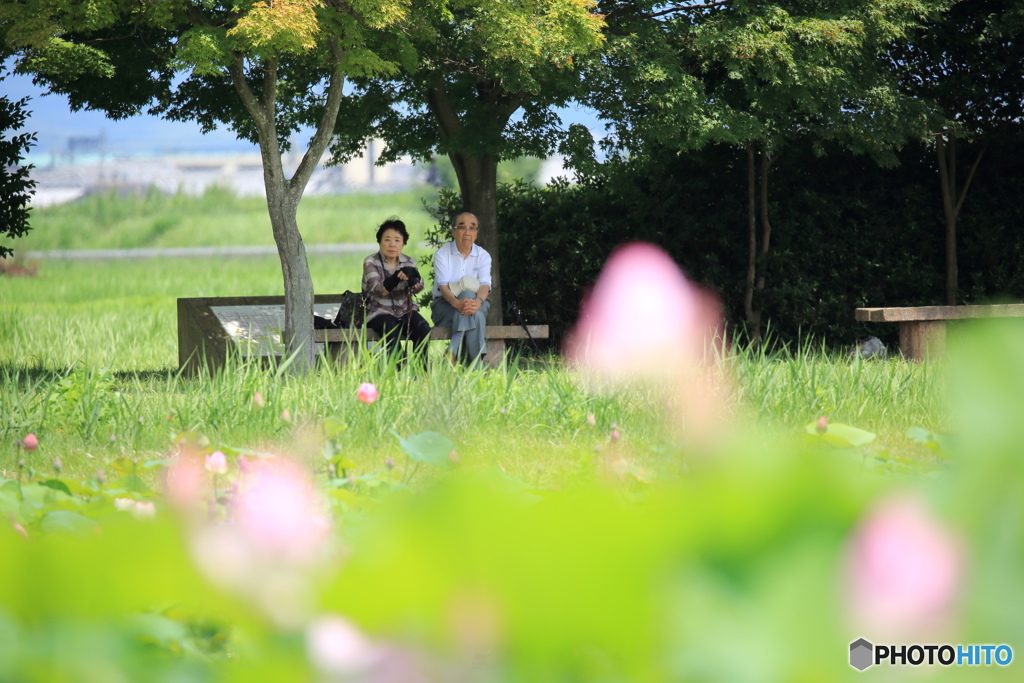 夏の午後