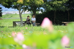 夏の午後