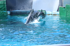 ジャンプの練習中