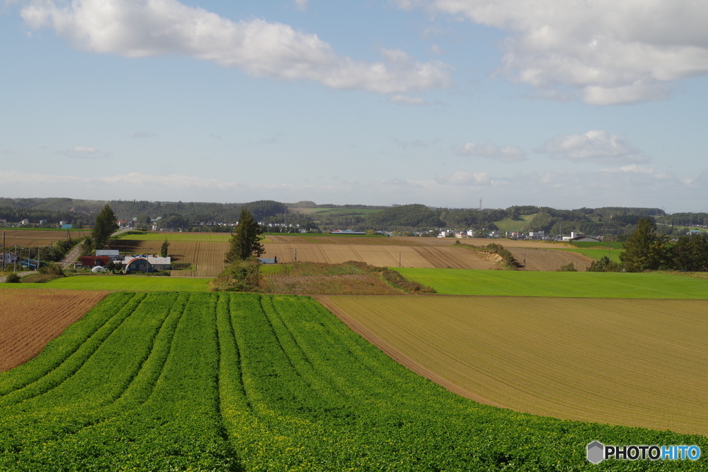 北海道はでっかいどー！！