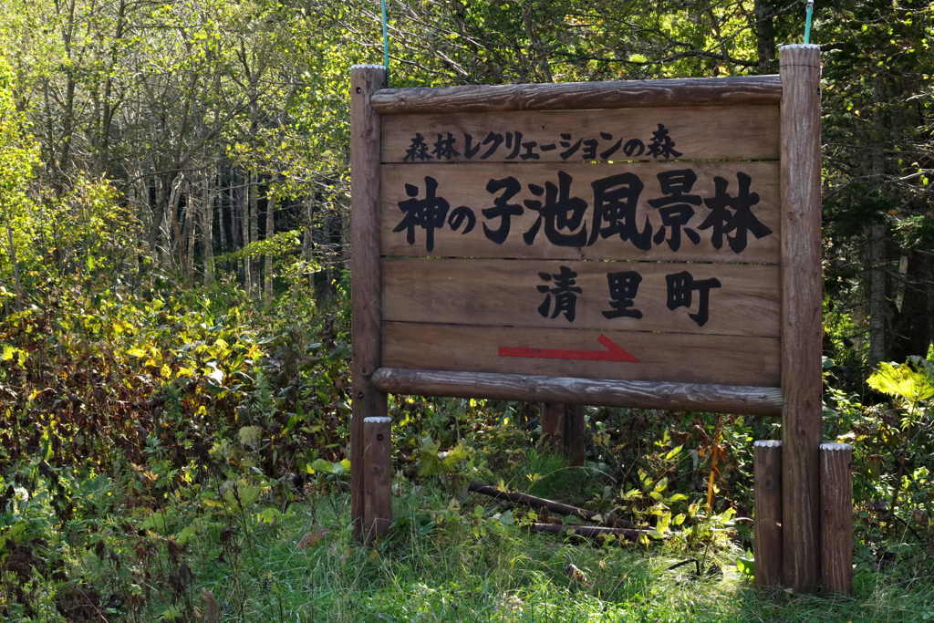 神の子池への入口