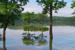 水鏡