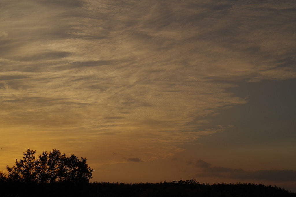 秋空の夕陽2