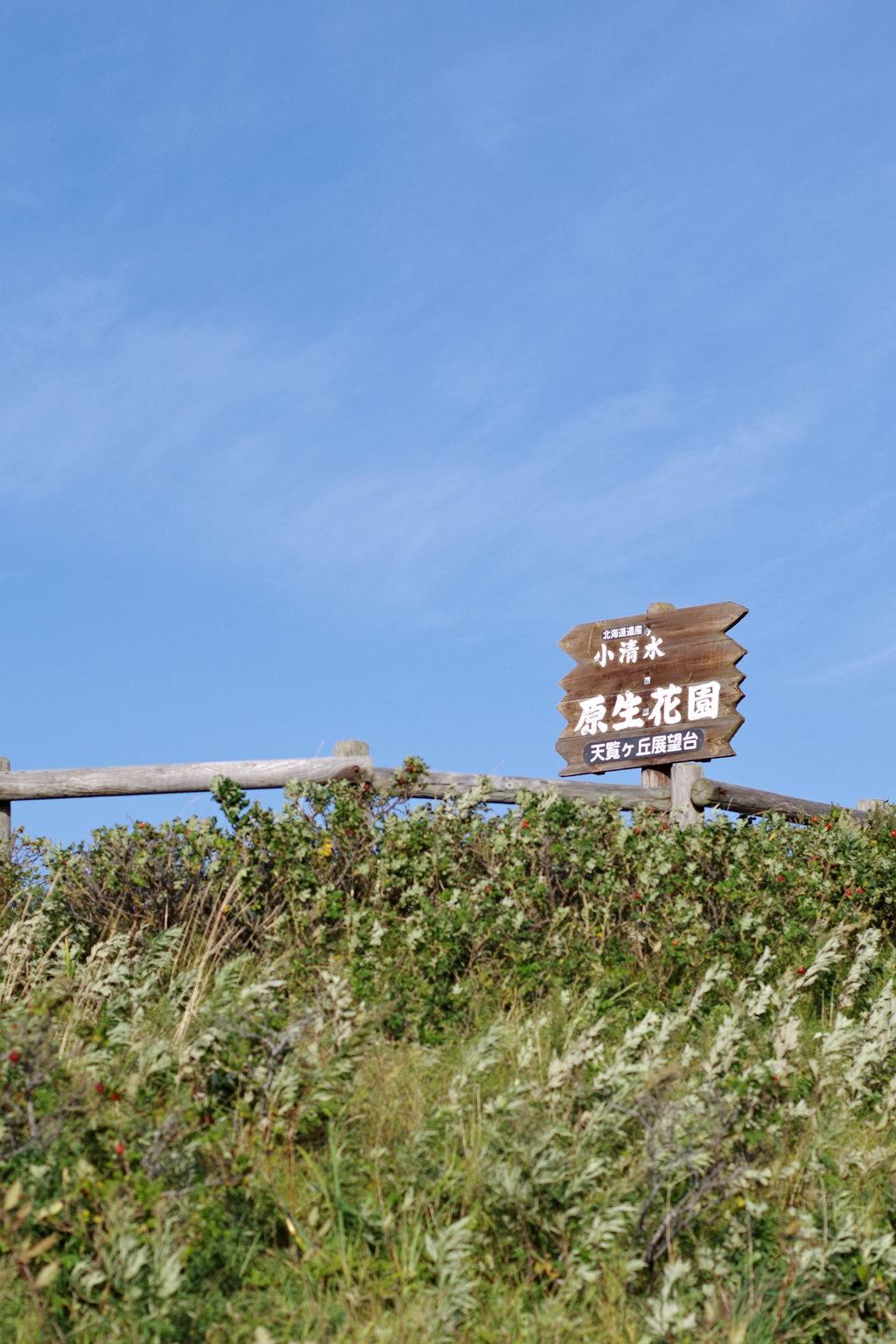 原生花園