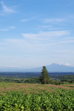 羅臼岳を背に