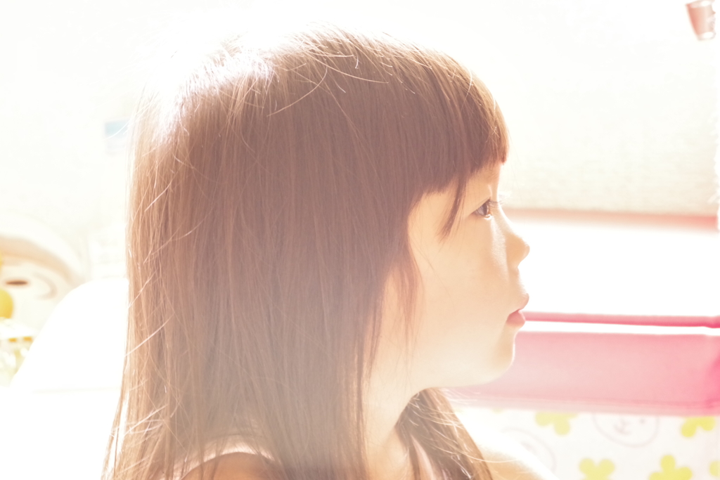 朝顔
