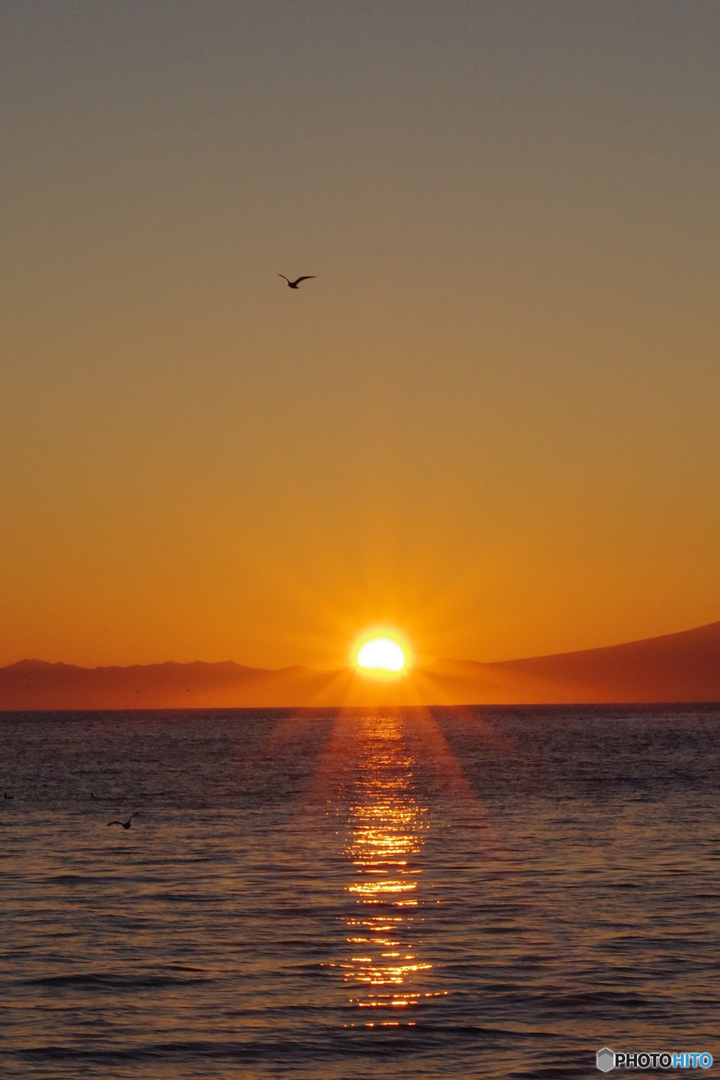 海よ太陽よ鳥よ!!