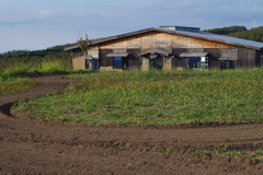 クロップス公園