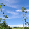 高原に向かう道