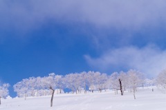 白銀と蒼空