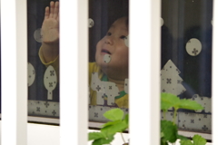 仰げば……尊し