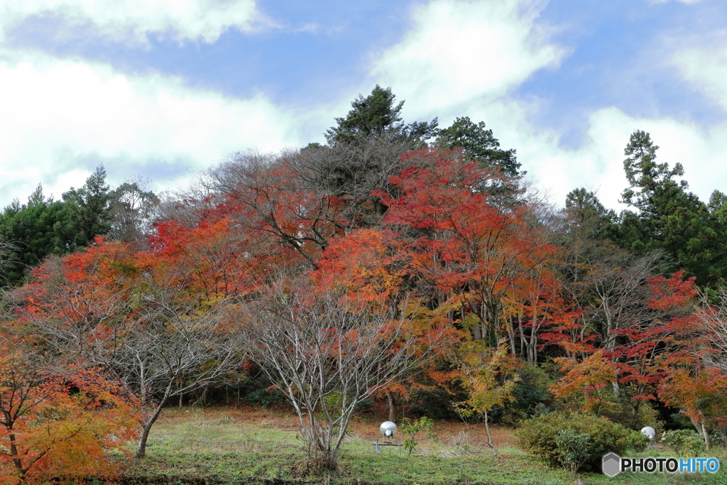 紅葉２０１６その１