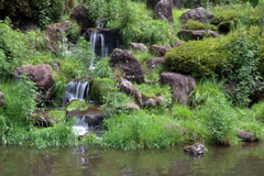 日本庭園