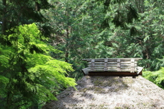 新緑の田舎