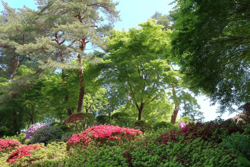 初夏の風景１
