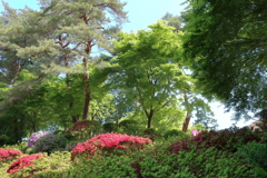 初夏の風景１