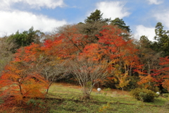 紅葉2016その７