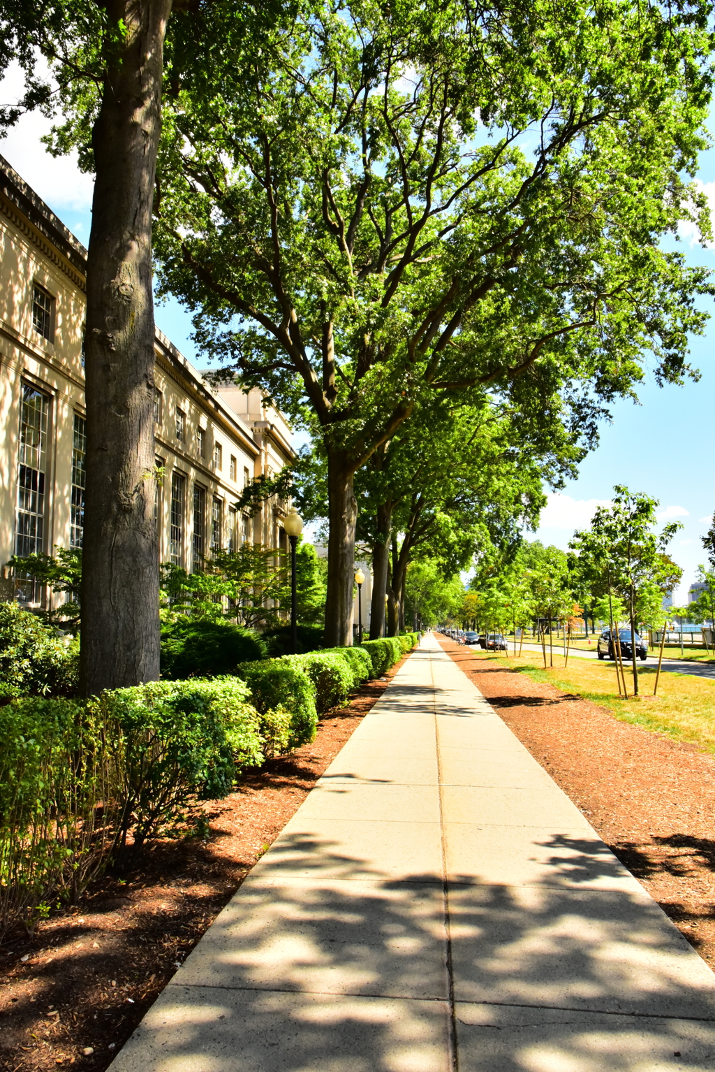 Cozy Street (Memorial Dr)