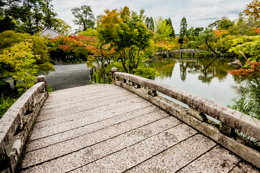 Bridge To Autumn