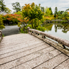 Bridge To Autumn