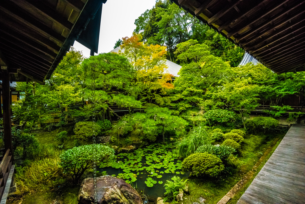 Garden of Eikando Zenrin-ji