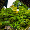Garden of Eikando Zenrin-ji