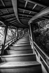 Wooden Stairs of Zenrin-ji