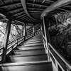 Wooden Stairs of Zenrin-ji