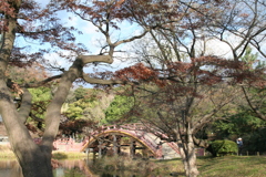 赤いアーチ橋（撮影：横山文徳(埼玉県)）