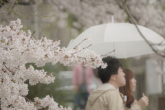 あいにくの雨