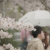 あいにくの雨