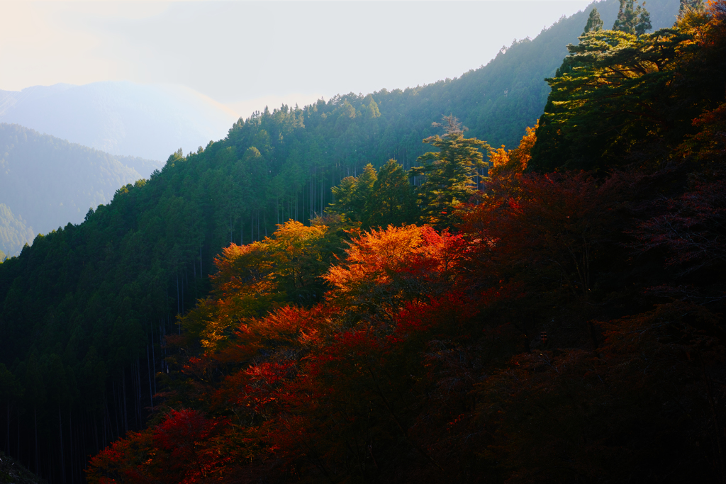 吉野山