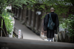 本堂への道