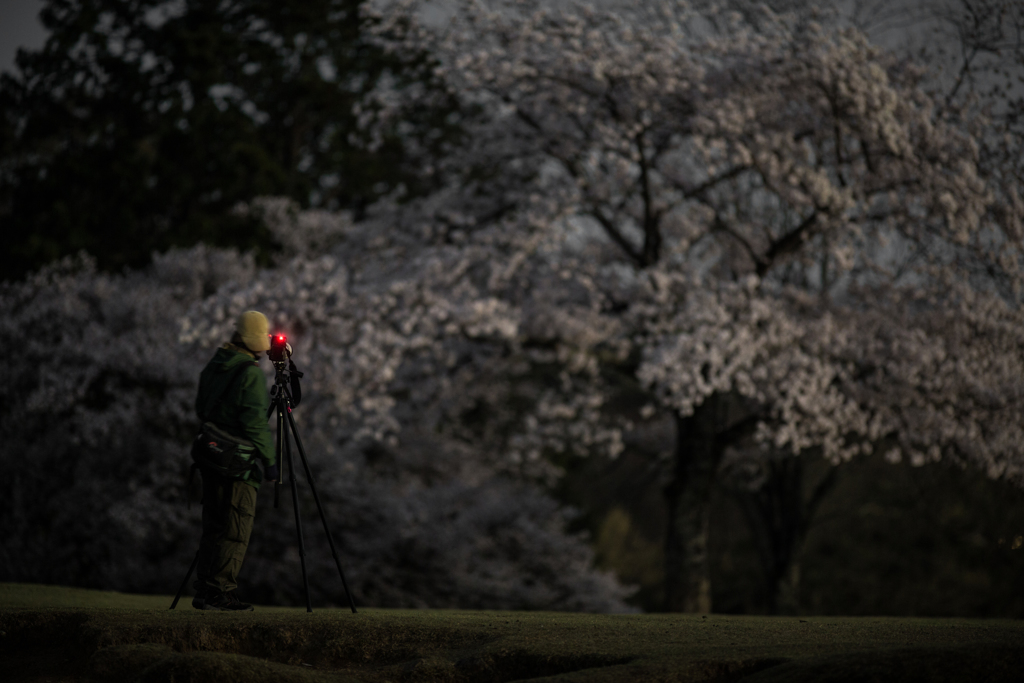 眠らぬphotographer