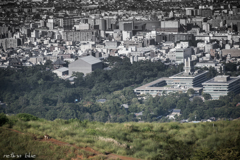 若草山山頂より二重目を望む