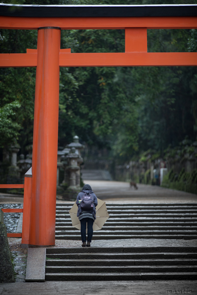 お参りに