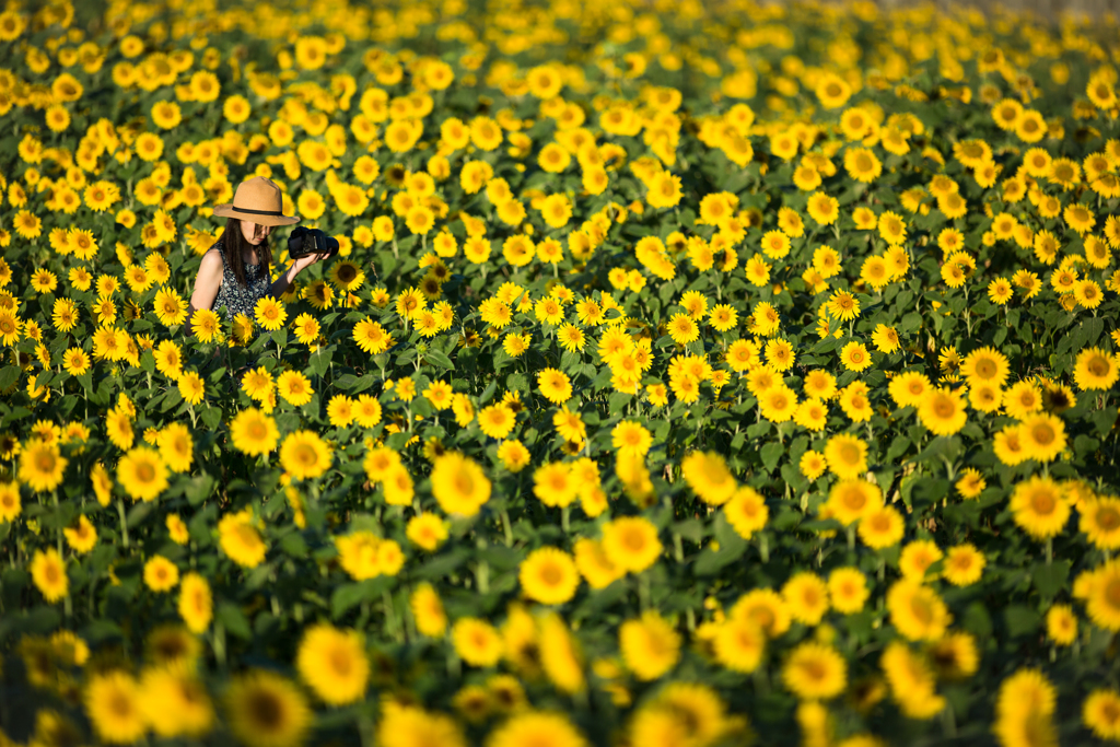 Overwhelmed yellow
