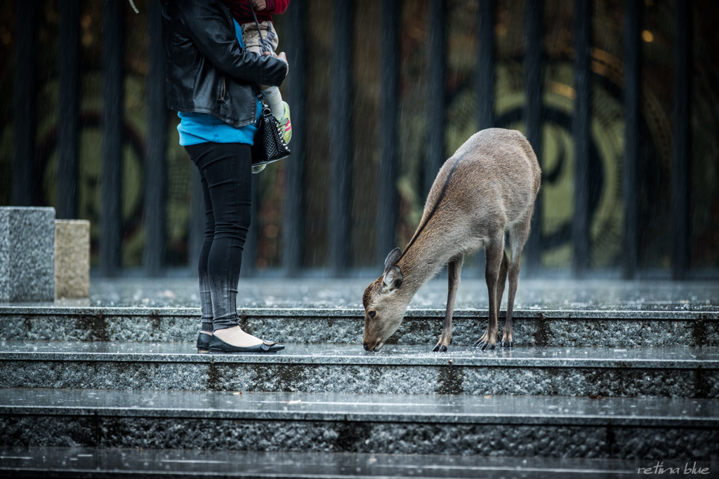 The rainy days continued.